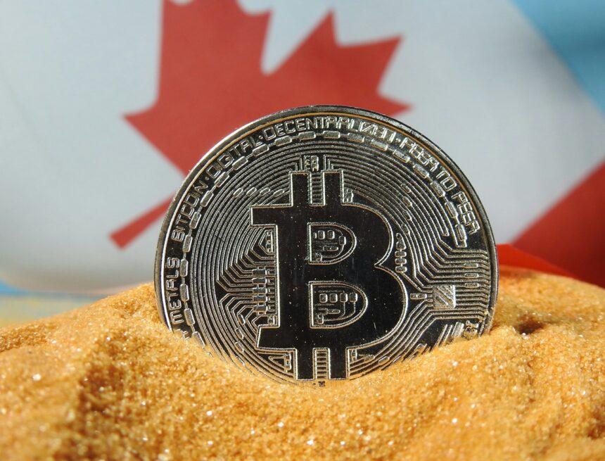 gold and black round coin